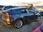 2024 Tesla Model Y Черный vin: 7SAYGDEDXRF046759