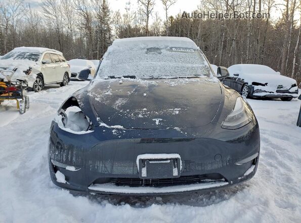 7SAYGDEE7SF275673 2025 TESLA MODEL Charcoal Vista frontal