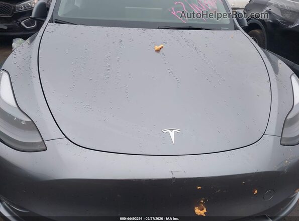 7SAYGDEE9RA299951 2024 TESLA MODEL Y Gray უკანა ხედი