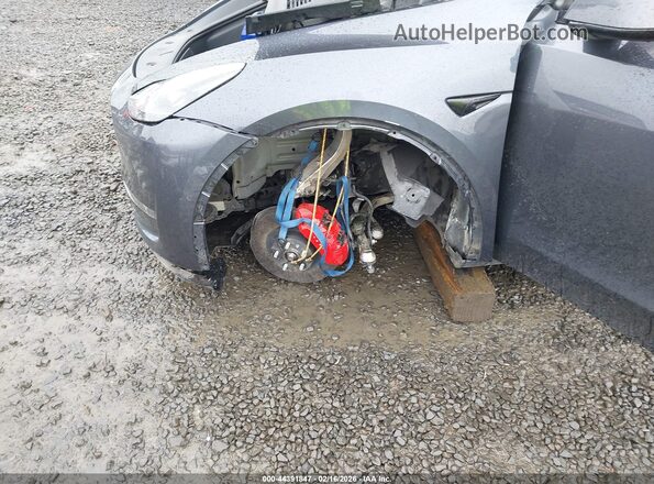 7SAYGDEF7NF374104 2022 TESLA MODEL Y Gray Դիմացի տեսք