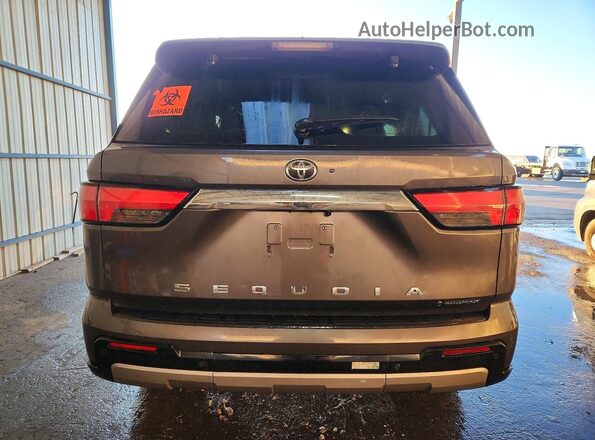 7SVAAABA2SX062528 2025 TOYOTA SEQUOIA Gray Հետևի տեսք