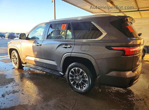 7SVAAABA2SX062528 2025 TOYOTA SEQUOIA Gray Հետևի ձախ