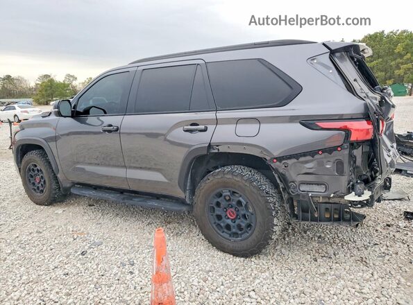 7SVAAABA6PX012478 2023 TOYOTA SEQUOIA Серый Задняя левая четверть