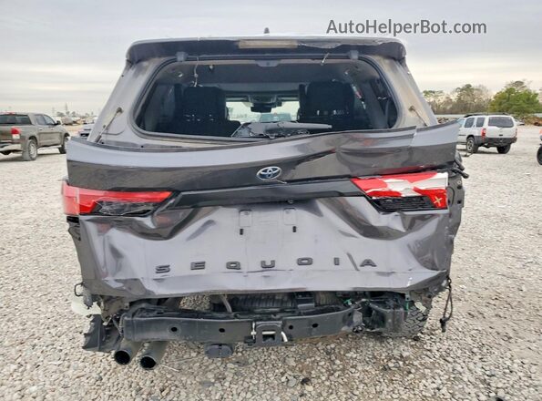 7SVAAABA6PX012478 2023 TOYOTA SEQUOIA Серый Вид сзади