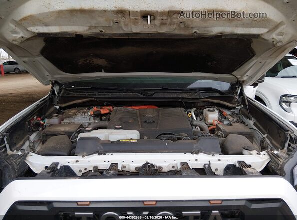 7SVAAABAXRX033515 2024 TOYOTA SEQUOIA Белый Вид сзади