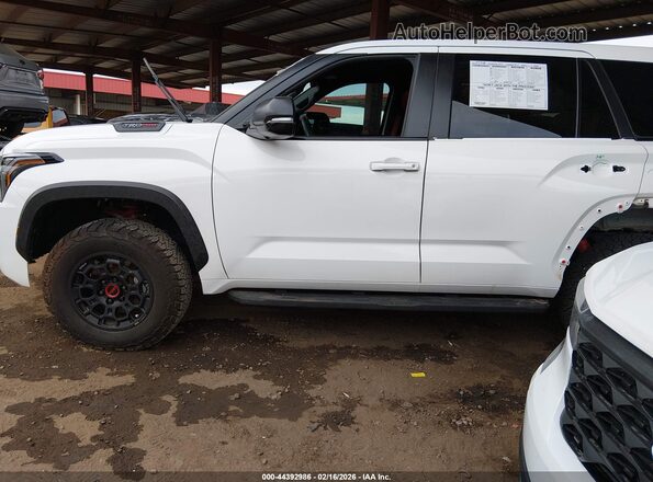 7SVAAABAXRX033515 2024 TOYOTA SEQUOIA Белый 