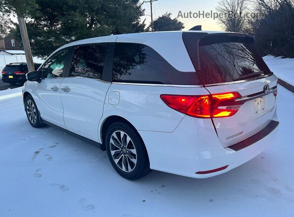 5FNRL6H71NB023976 2022 HONDA ODYSSEY White წინა მარჯვენა