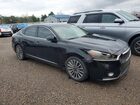 2017 Kia Cadenza Premium Black vin: KNALB4J12H5091869