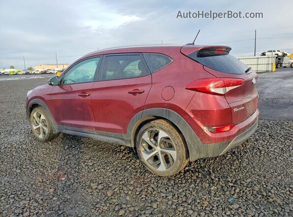KM8J3CA25GU196254 2016 HYUNDAI TUCSON Red Tył prawy
