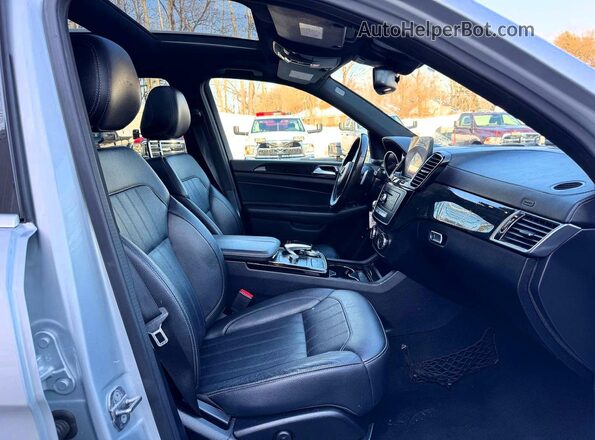 4JGDF6EEXJB178409 2018 MERCEDES-BENZ GLS Серебряный Вид задних сидений