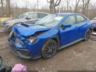 2023 Subaru Wrx Premium Синий vin: JF1VBAF63P9815127