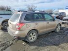 2016 Subaru Forester Желто-коричневый vin: JF2SJAGC8GH432991