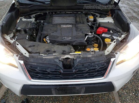 JF2SJGEC1HH811516 2017 SUBARU FORESTER2. Белый Вид задней части салона