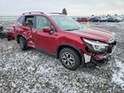 2019 Subaru Forester Premium Красный vin: JF2SKAEC0KH564765