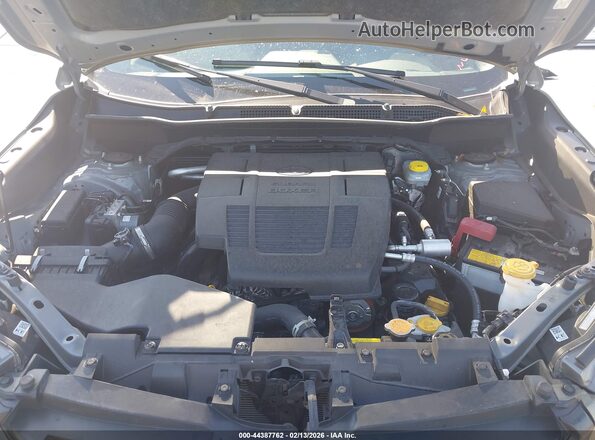 JF2SKAJC5RH511933 2024 SUBARU FORESTER Зеленый Вид сзади