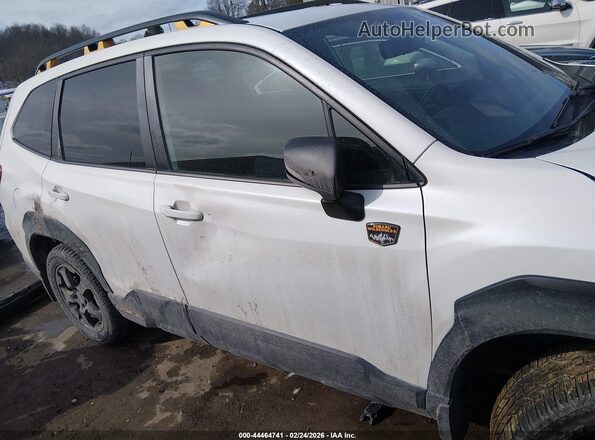 JF2SKAJC8RH428528 2024 SUBARU FORESTER Белый Вид задней части салона