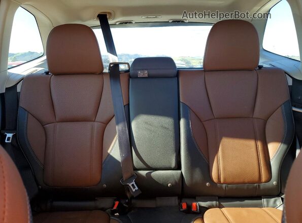 JF2SKAMC0RH480666 2024 SUBARU FORESTER Зеленый Вид задних сидений