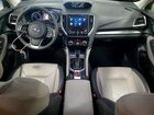 2019 Subaru Forester Limited Green vin: JF2SKASC7KH538393