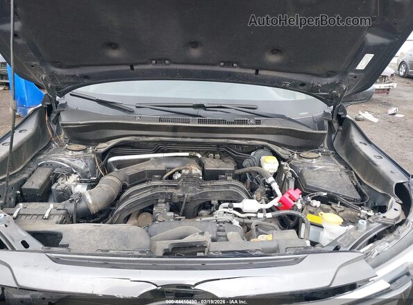 JF2SLDBC3SH539121 2025 SUBARU FORESTER Серый Вид сзади