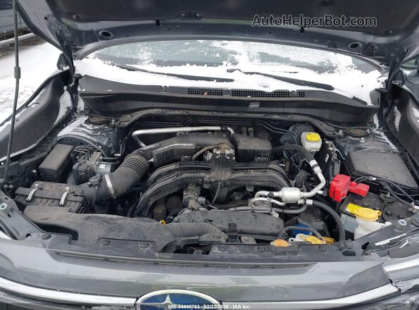 JF2SLDDC9SH431907 2025 SUBARU FORESTER Gray უკანა ხედი