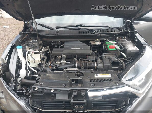 JHLRW2H59KX022304 2019 HONDA CR-V Серый Вид сзади