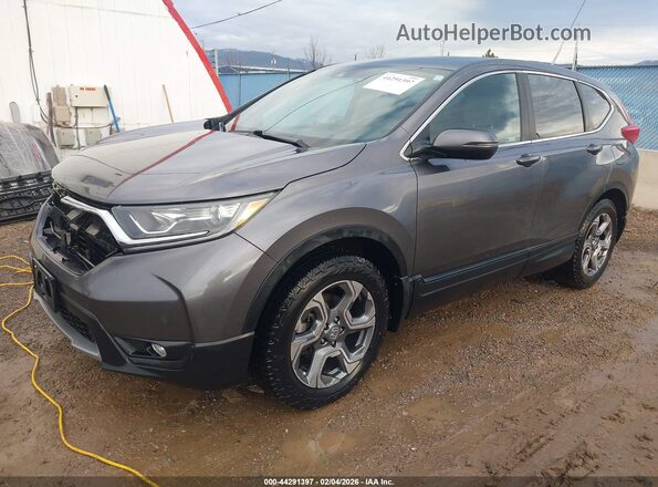 JHLRW2H59KX022304 2019 HONDA CR-V Серый Передняя левая четверть