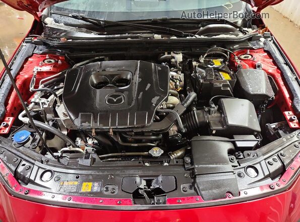 JM1BPAKM2P1602073 2023 MAZDA 3 Темно-бордовый Вид задней части салона