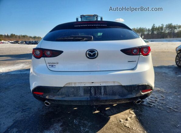 JM1BPALM7P1613987 2023 MAZDA 3 Белый Вид сзади