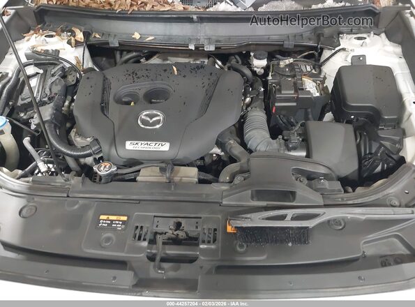 JM3TCACY3G0112059 2016 MAZDA CX-9 White უკანა ხედი