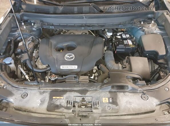 JM3TCBDY1M0504277 2021 MAZDA CX-9 Gray Вид ззаду