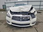 2019 Infiniti Q70 3.7 Luxe Белый vin: JN1BY1AP8KM505592