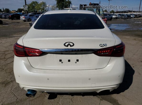 JN1EV7BP6RM601013 2024 INFINITI Q50 Белый Вид сзади