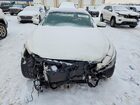 2019 Infiniti Q60 Pure Белый vin: JN1EV7ELXKM290667