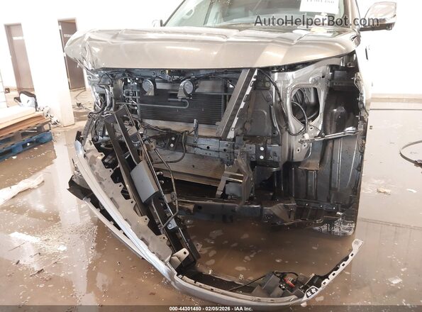 JN8AY2DB6P9835082 2023 NISSAN ARMADA Серый Вид спереди