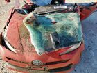 2020 Toyota Prius L Красный vin: JTDKARFU7L3106047 2020 Toyota Prius L Красный vin: JTDKARFU7L3106047