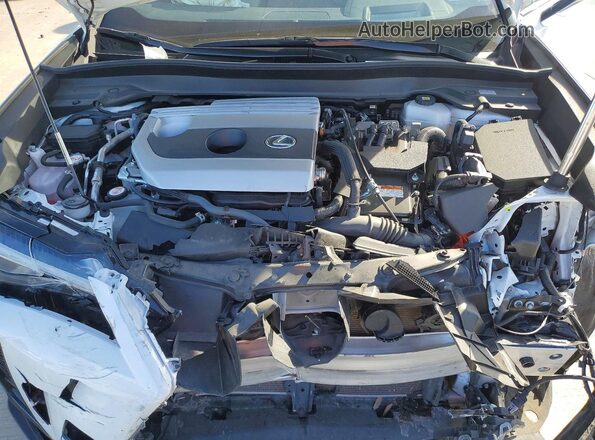 JTHB6JBH5R2167454 2024 LEXUS UX Белый Вид задней части салона
