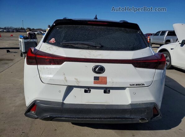 JTHB6JBH5R2167454 2024 LEXUS UX Белый Вид сзади