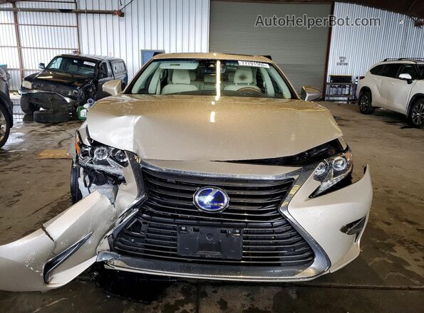 JTHBW1GG7J2189895 2018 LEXUS ES Золотой Вид спереди