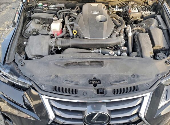 JTHDA1D24L5103105 2020 LEXUS IS Черный Вид задней части салона