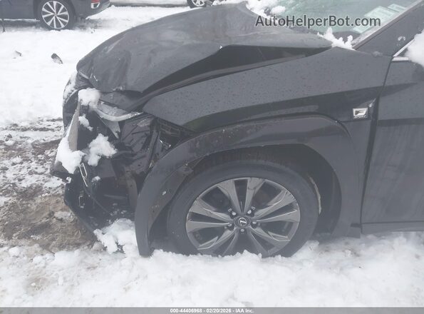 JTHE9JBH4L2034907 2020 LEXUS UX 250H Черный Вид спереди