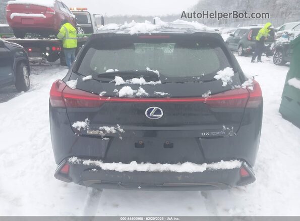 JTHE9JBH4L2034907 2020 LEXUS UX 250H Черный 