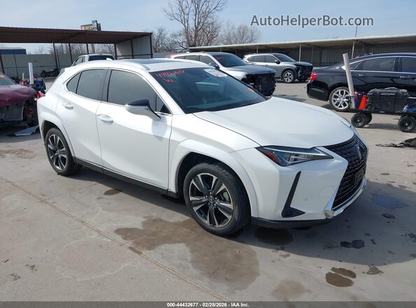 JTHP3JBH3N2055230 2022 LEXUS UX 200 White Передня права чверть