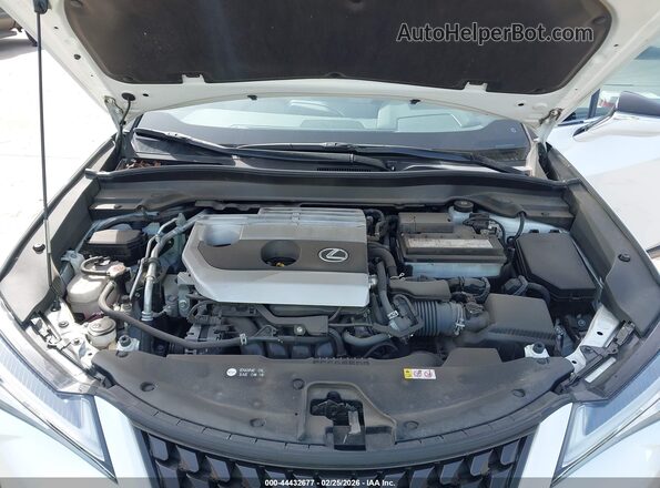 JTHP3JBH3N2055230 2022 LEXUS UX 200 White Вид ззаду