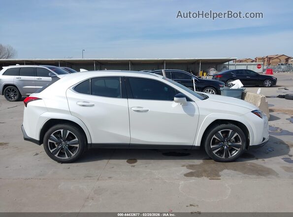 JTHP3JBH3N2055230 2022 LEXUS UX 200 White Вид задньої частини салону