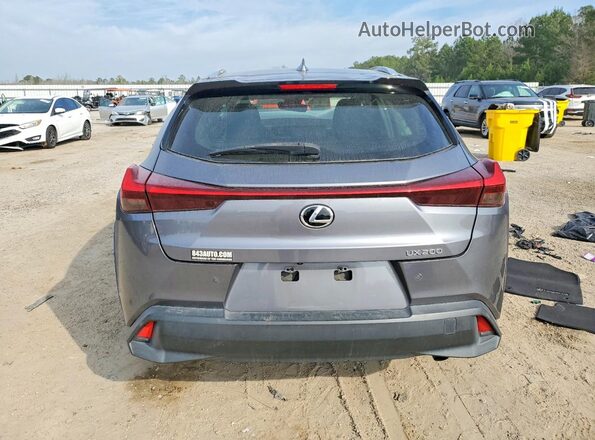 JTHP3JBH5L2023814 2020 LEXUS UX Gray Widok z tyłu