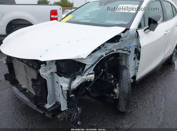 JTHP6JBH7P2159486 2023 LEXUS UX 250H White Вид спереду
