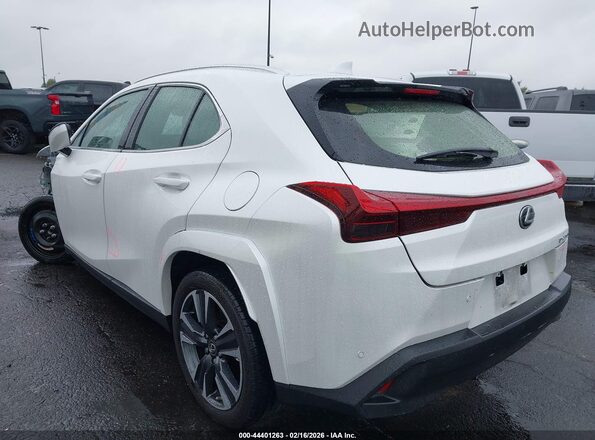 JTHP6JBH7P2159486 2023 LEXUS UX 250H White Задня ліва чверть