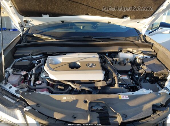 JTHP6JBH7R2192331 2024 LEXUS UX 250H White Widok z tyłu