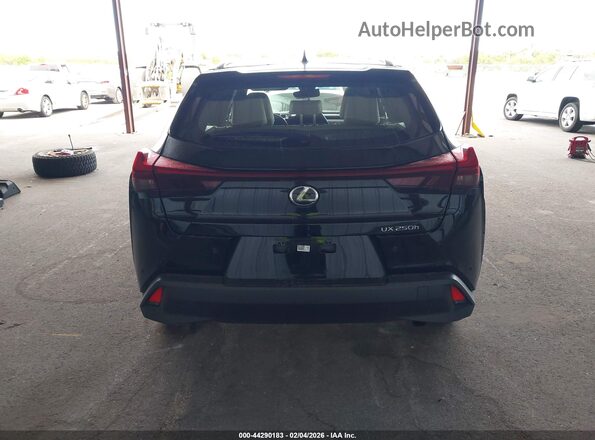 JTHP6JBH9P2151941 2023 LEXUS UX 250H Черный 