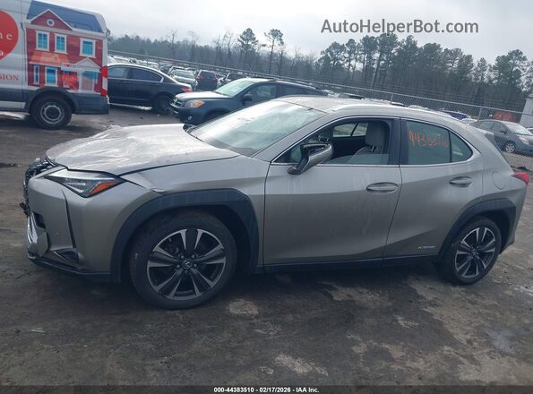 JTHP9JBH0L2033181 2020 LEXUS UX 250H Gray Widok wnętrza 360 stopni